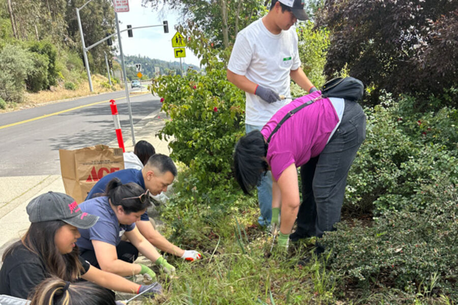 Students and mentors kneeling to clear plants along the roadside beside the garden